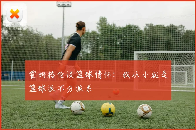 霍姆格伦谈篮球情怀：我从小就是篮球派不分派系