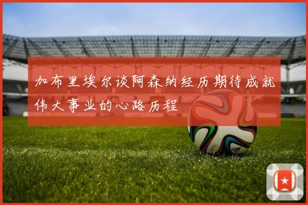 加布里埃尔谈阿森纳经历期待成就伟大事业的心路历程